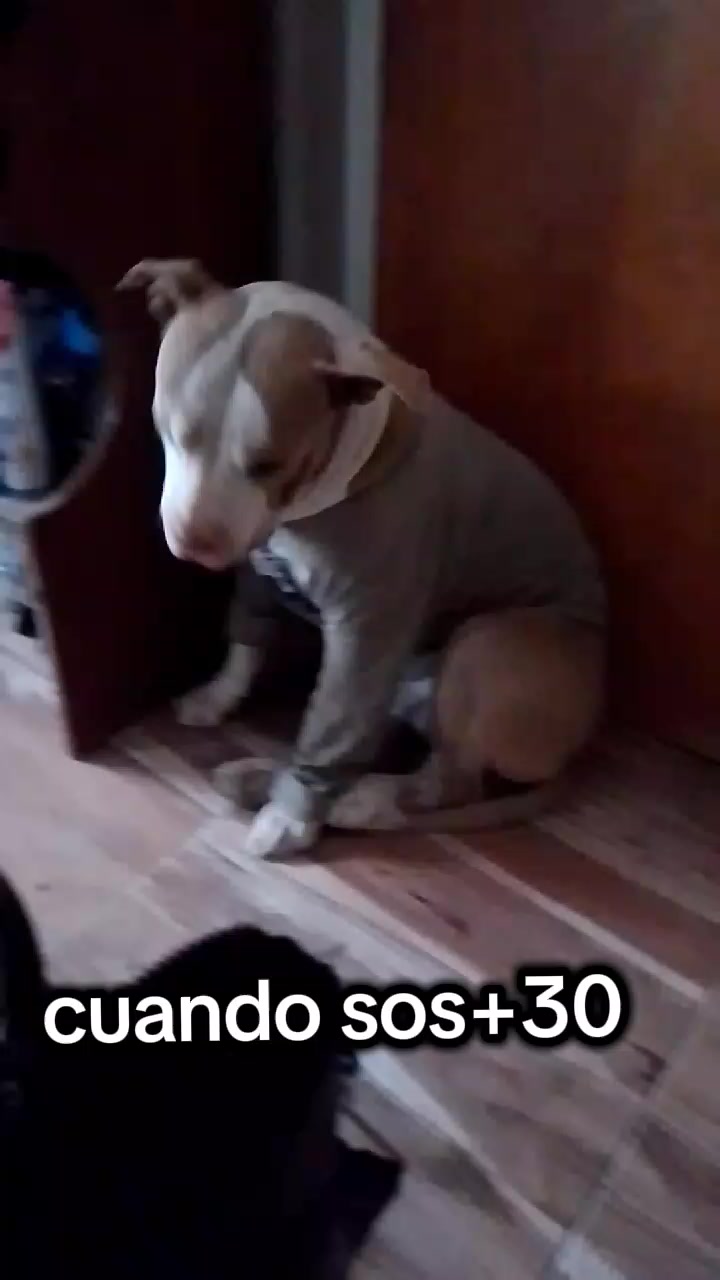 @Bibi 💙🇦🇷