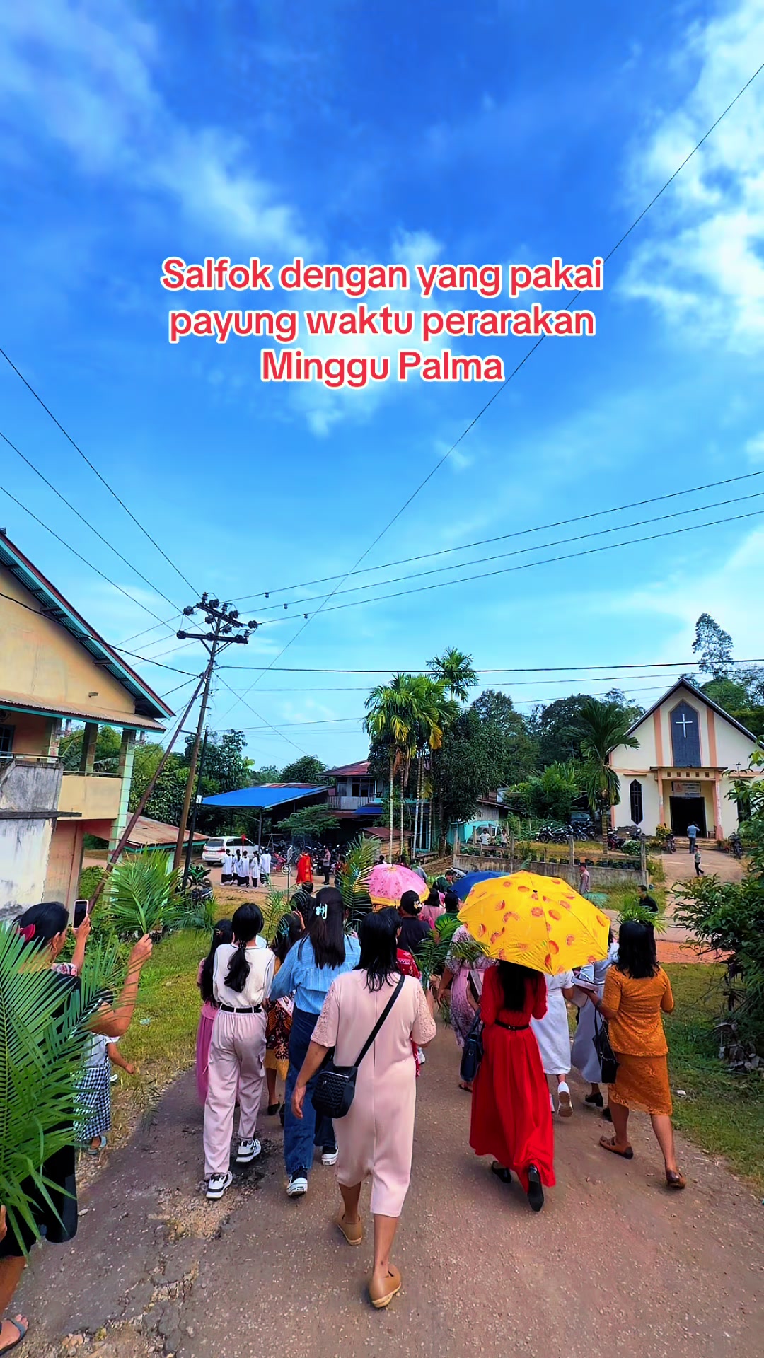 @RP Selpinus Ala Cap