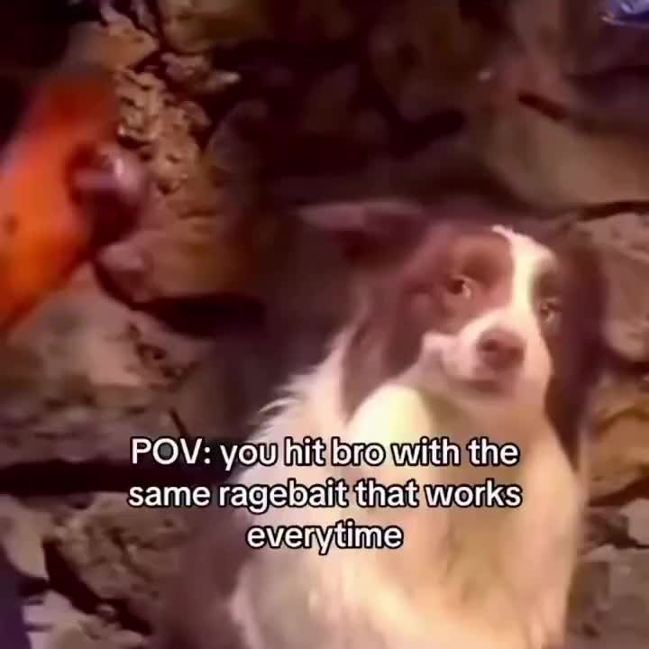 @spawning memes