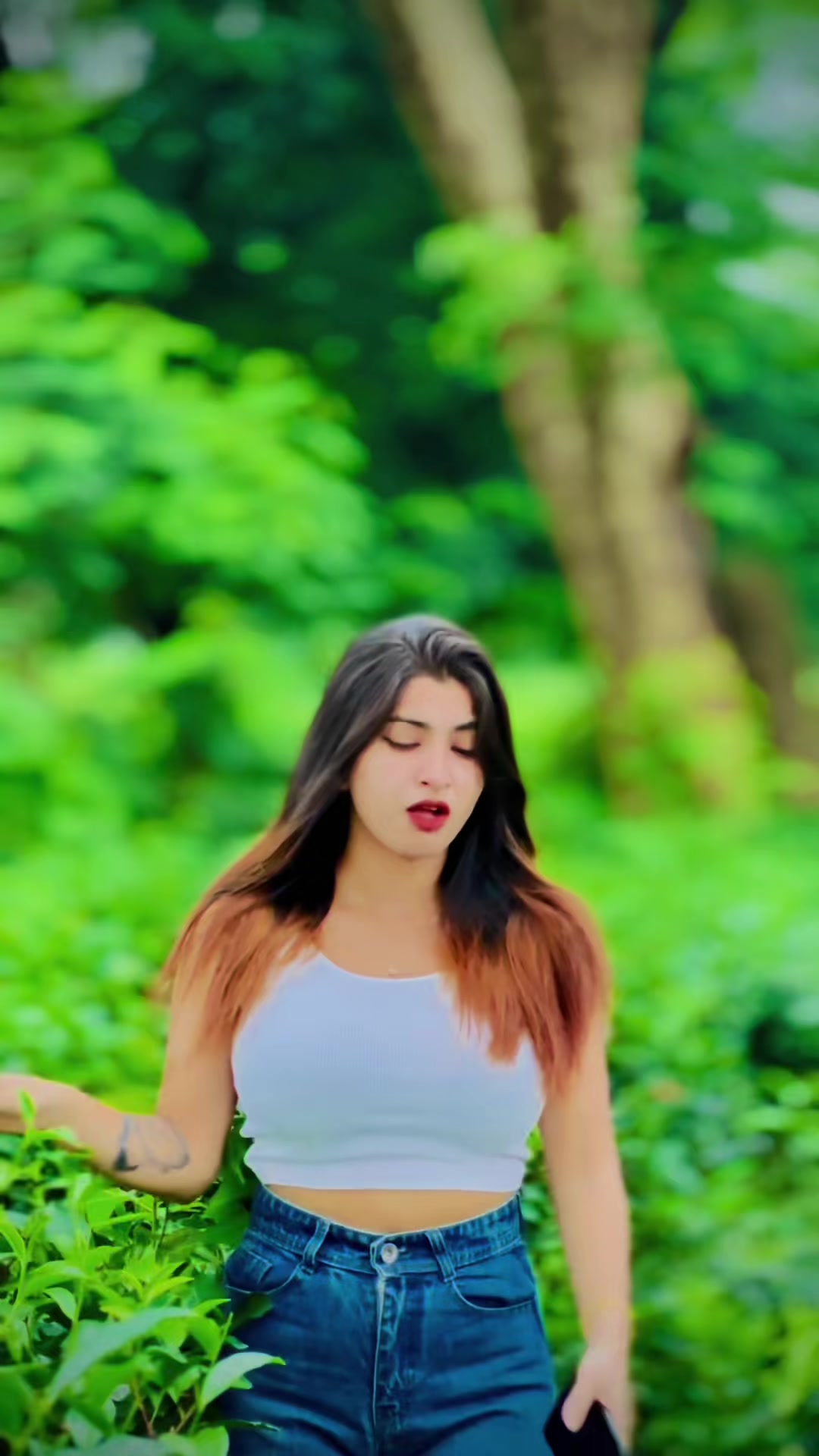 @🕊️