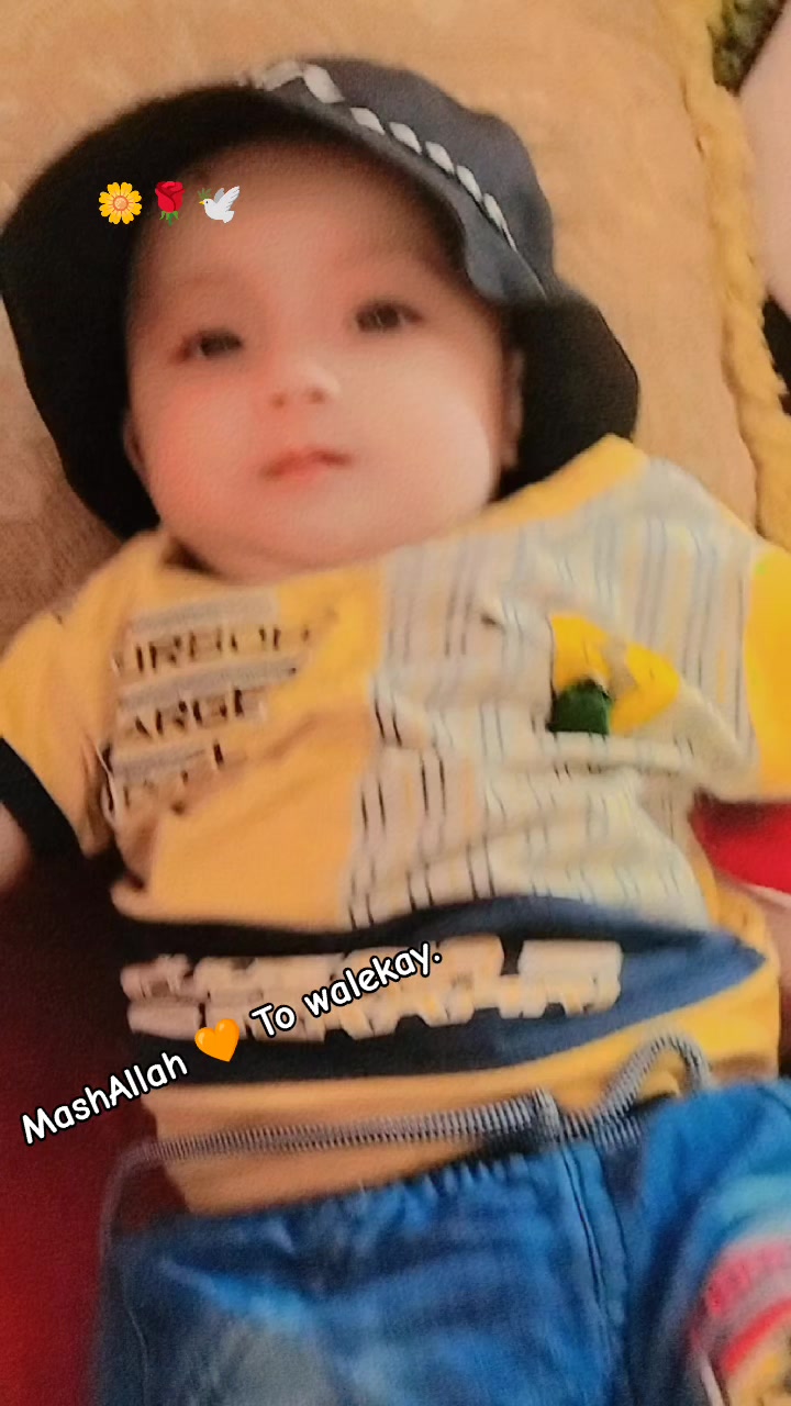 @🍁Rahid Afridi🍁
