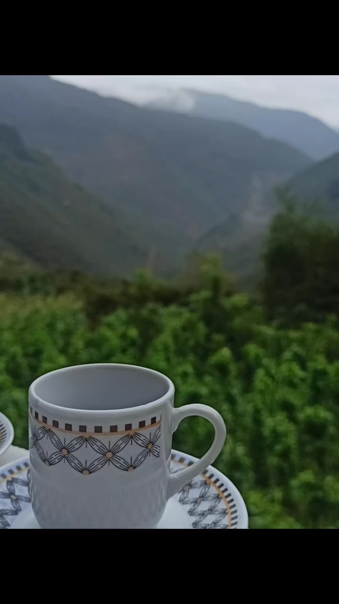 @&Ccedil;elik28🌹