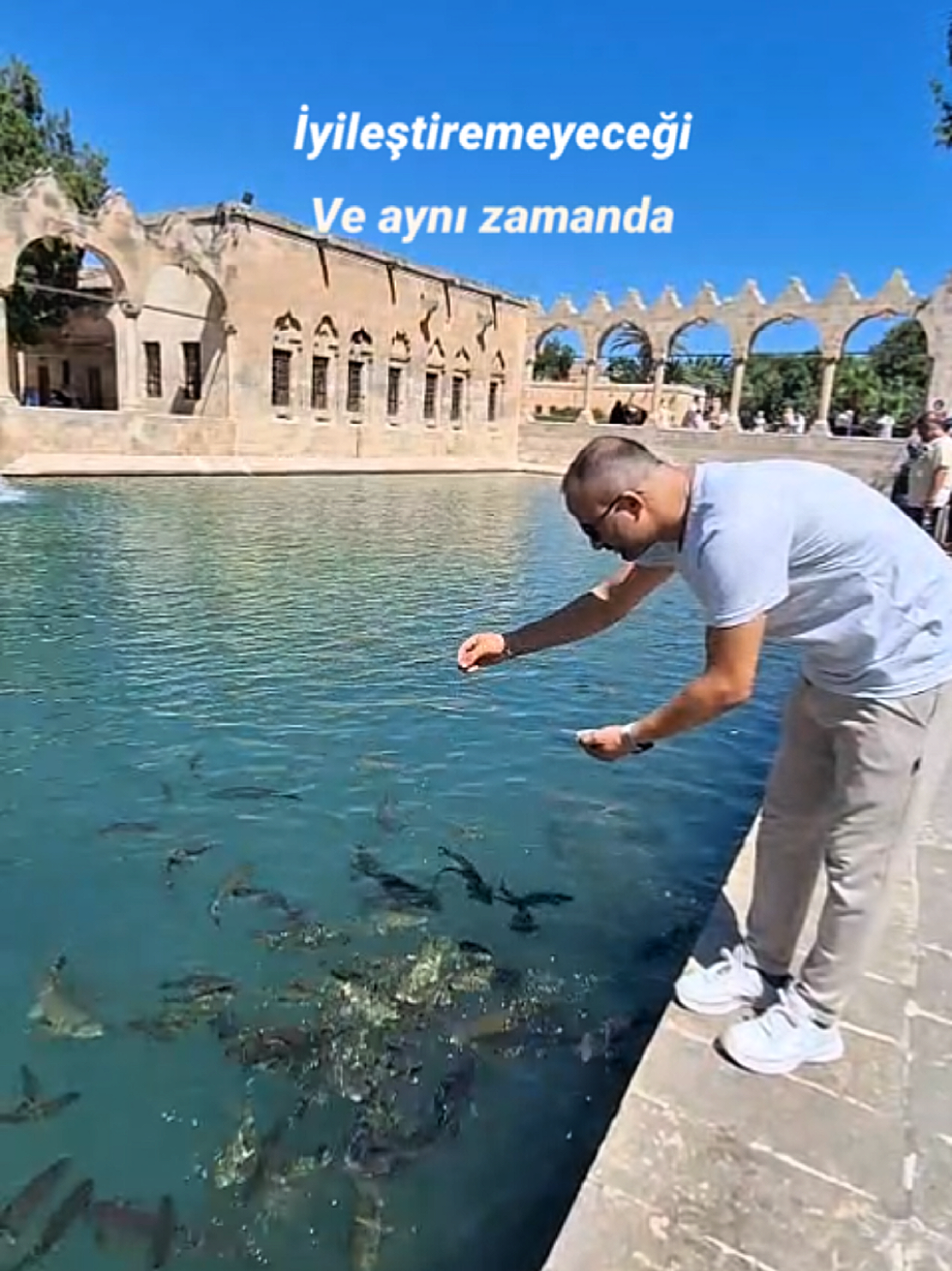 @~Zafer Çelik~