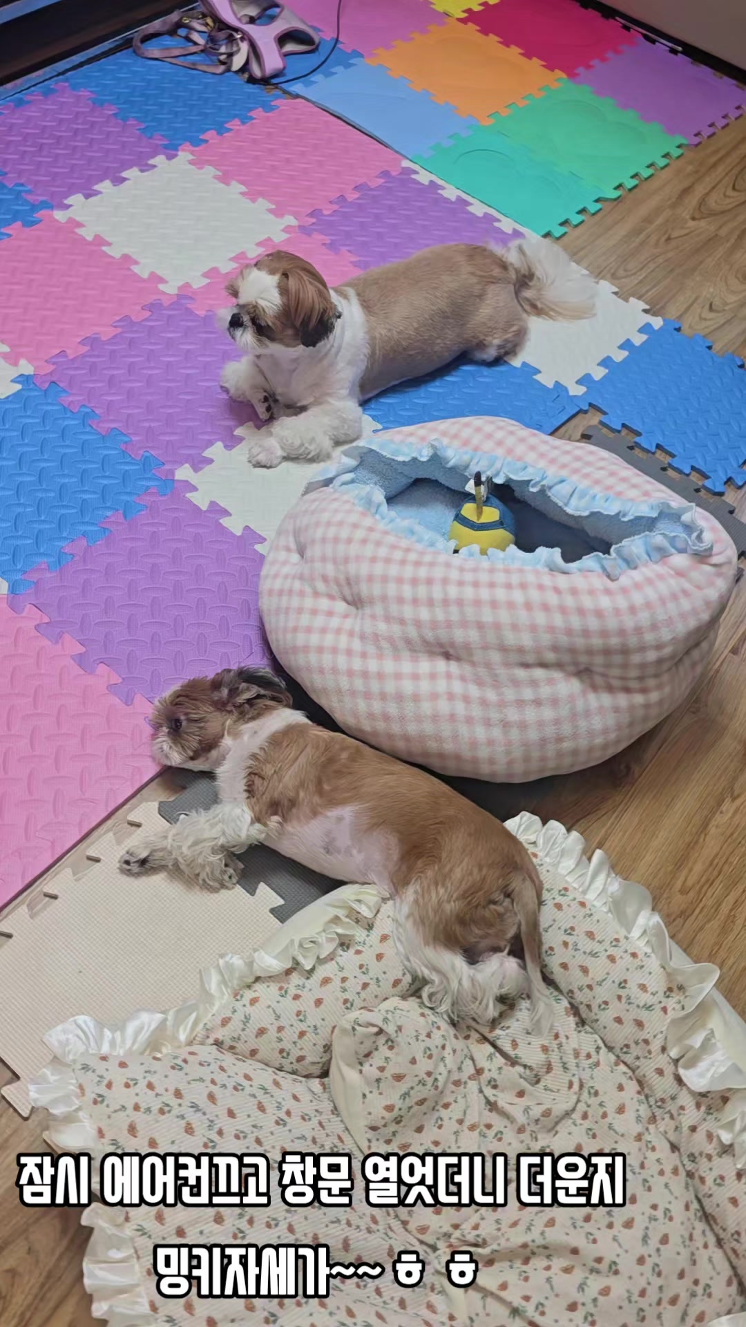 @키키맘