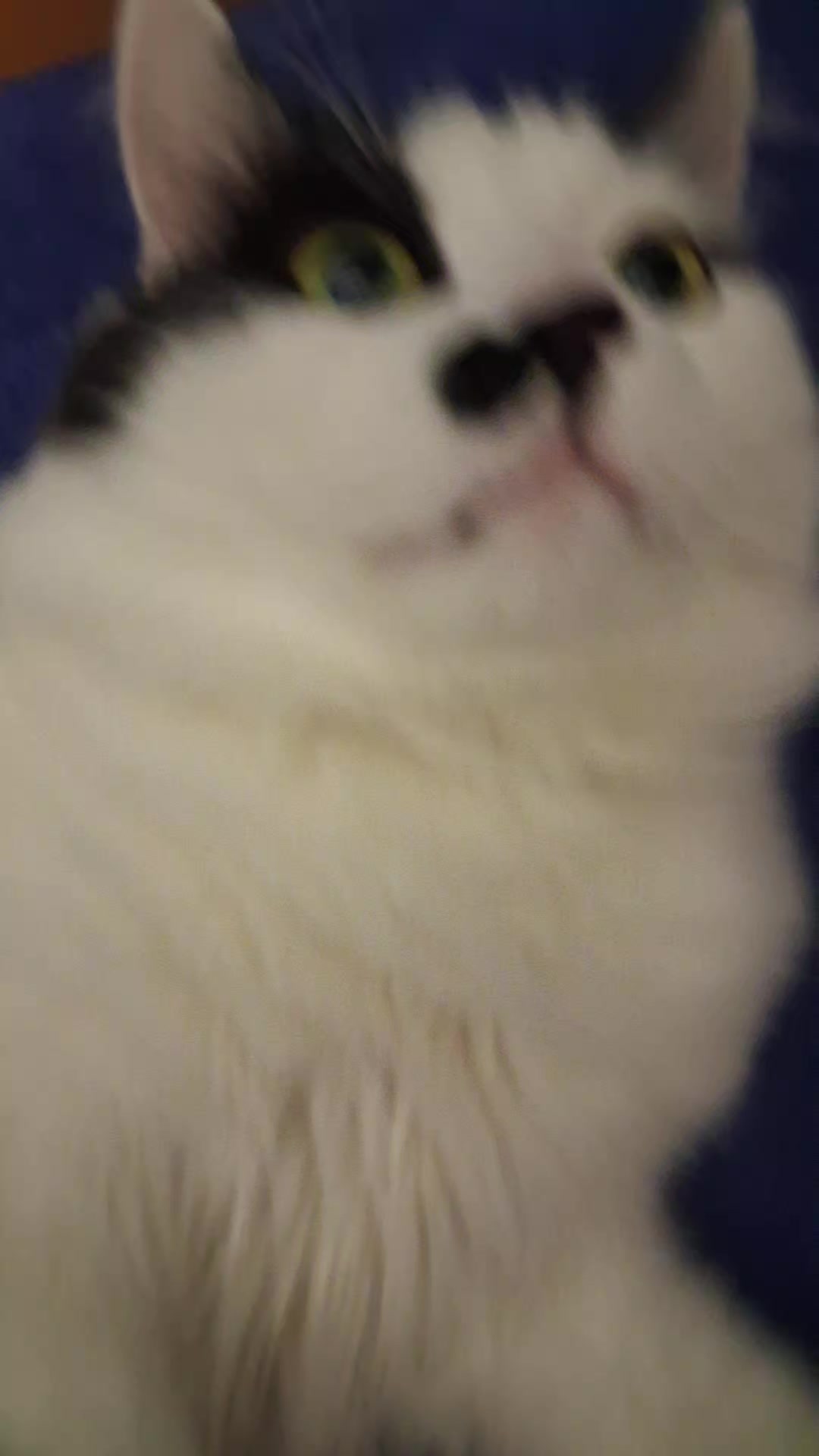 @Амурчик
