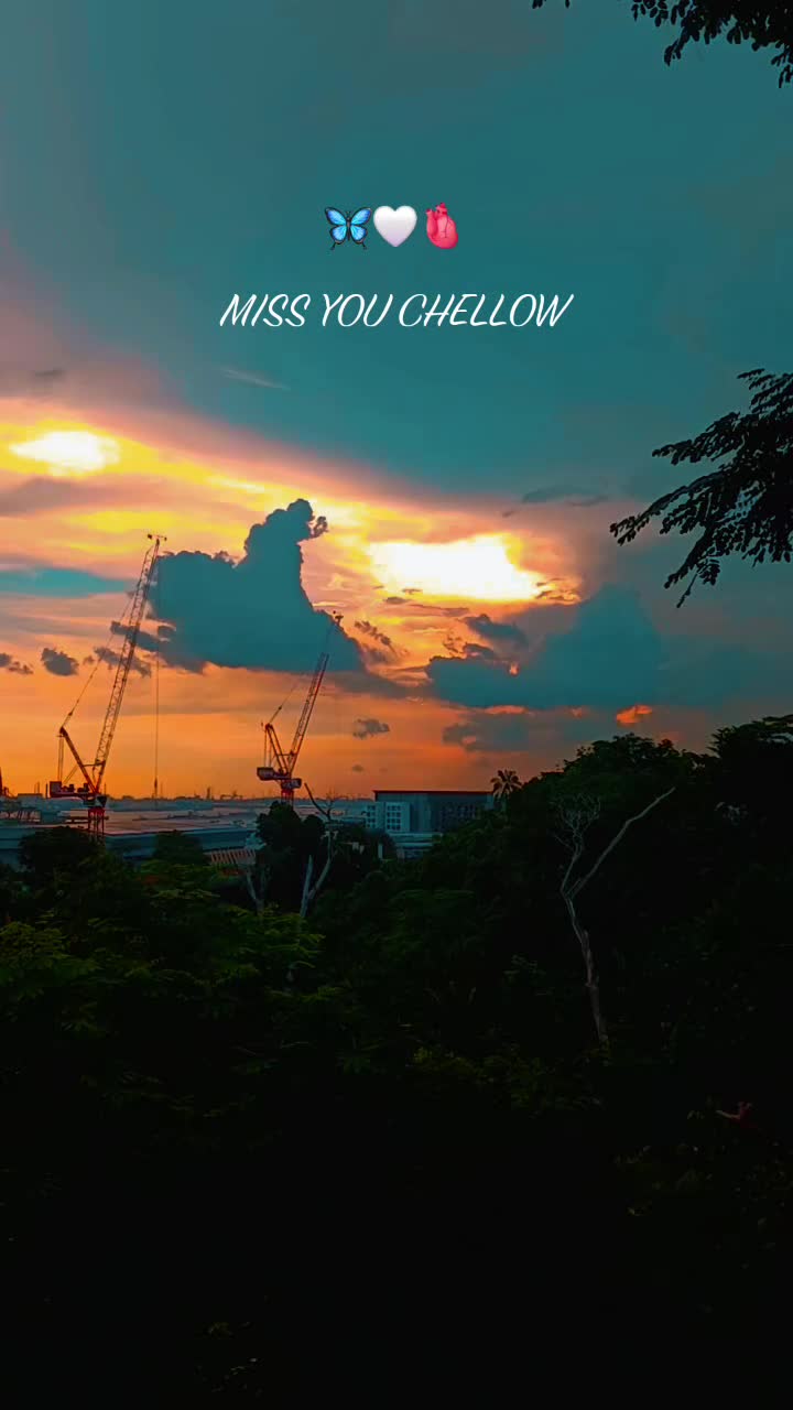 @🍁🌬️MR.RIGHT😎⚖️