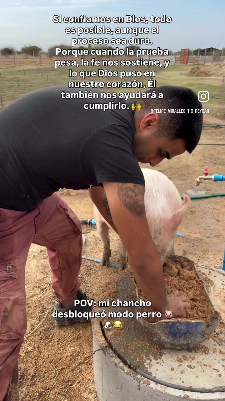 @Felipe miralles T&iacute;o Reycar