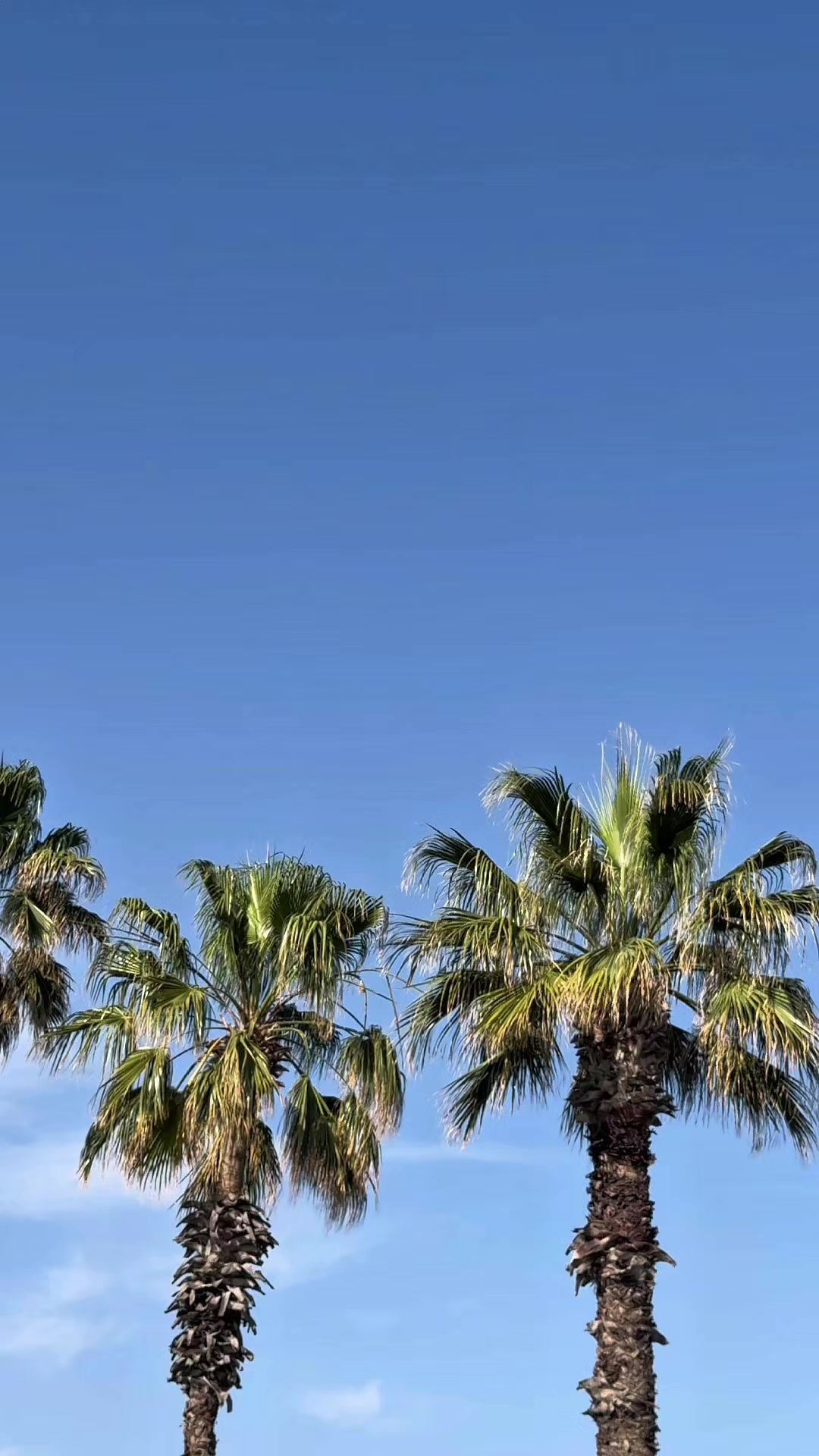 @ilker &Ouml;rkmez