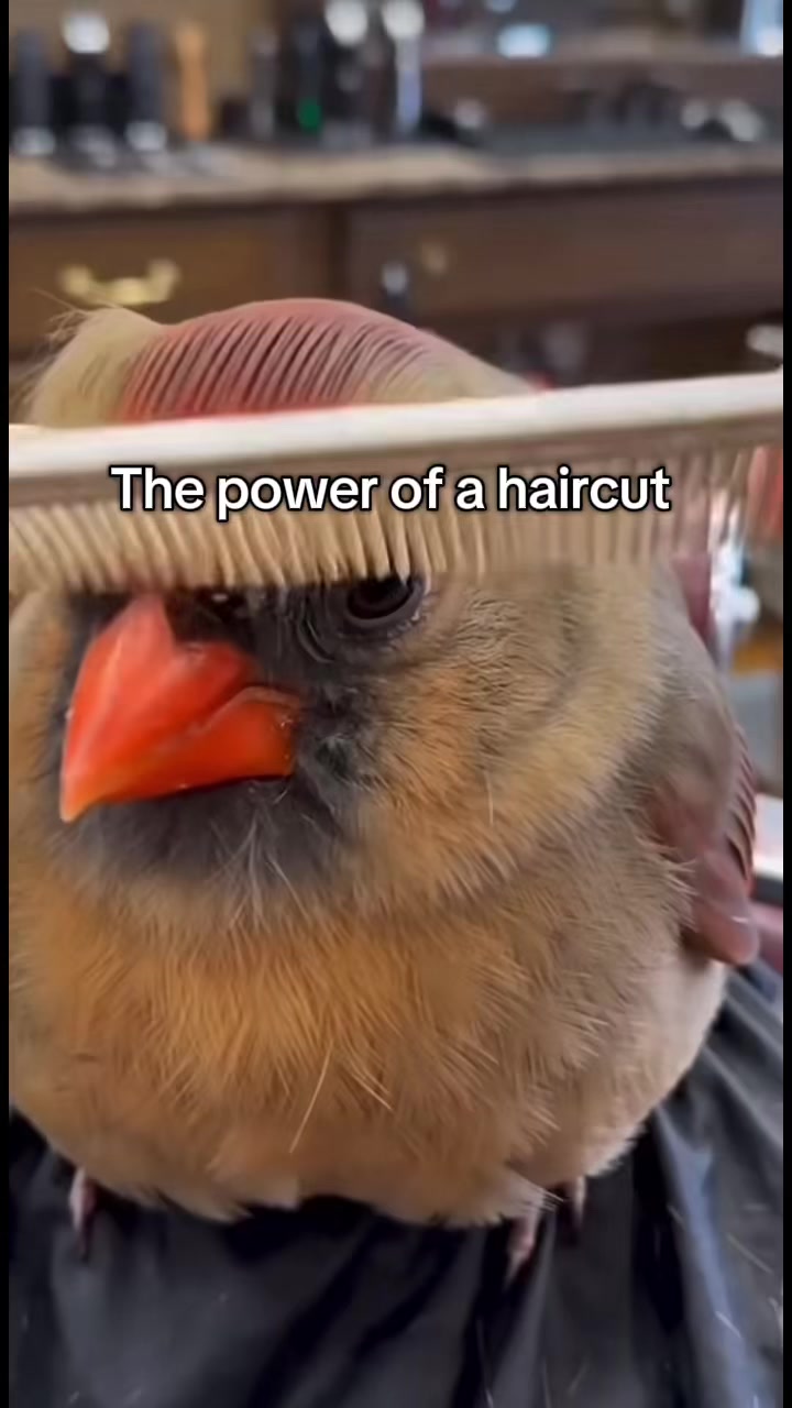 @Şïř Jülïęņ