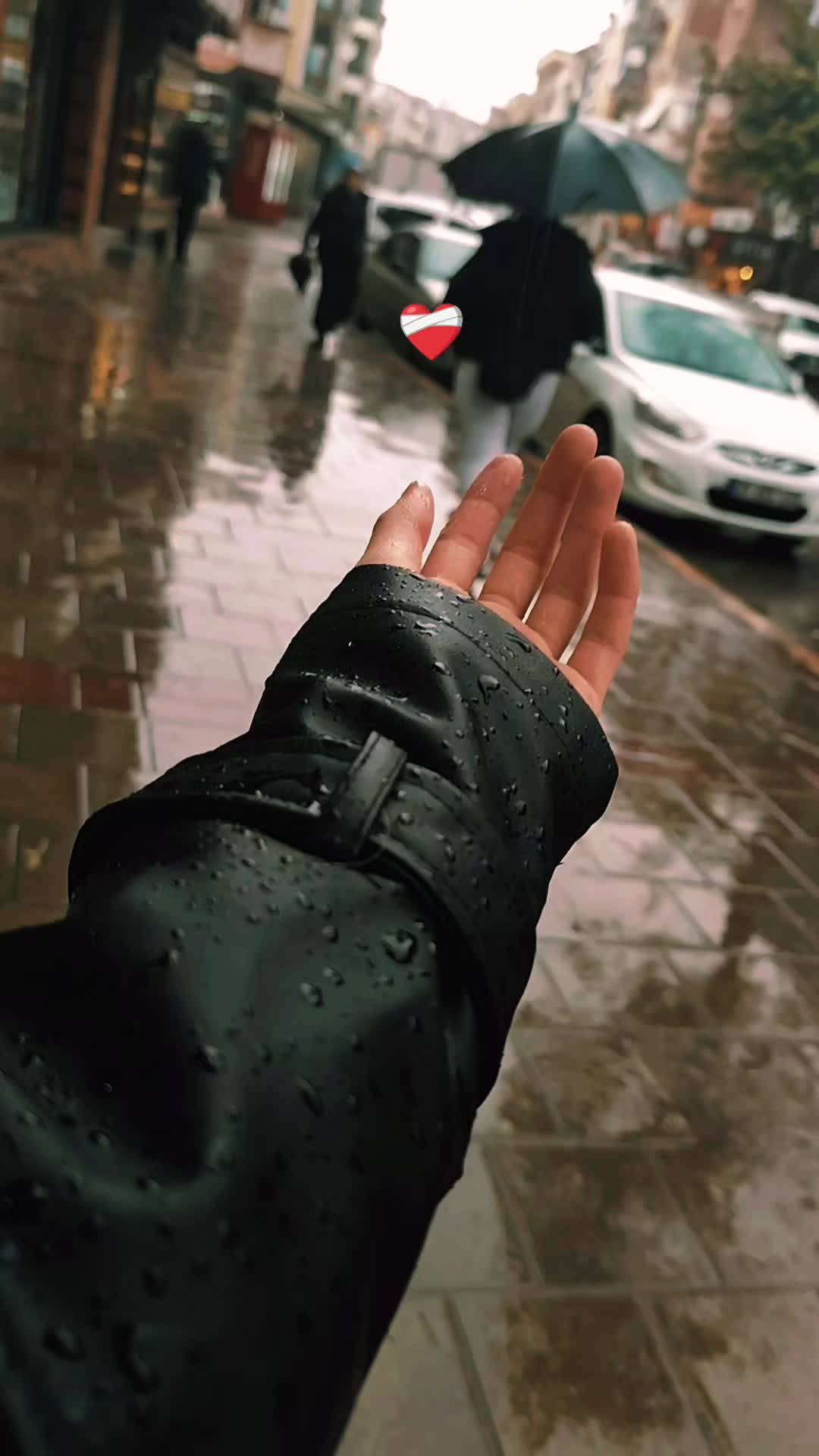 @سـيدرا || 𝑺𝒆𝒅𝒓𝒂 🌸🤍.