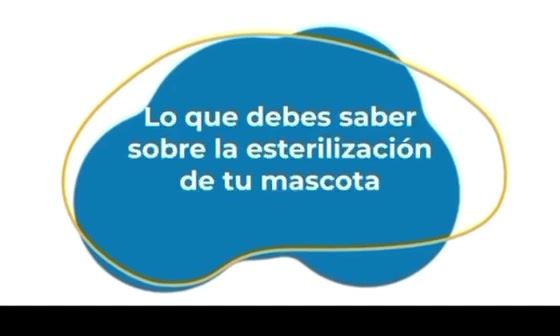 @BelitaPets