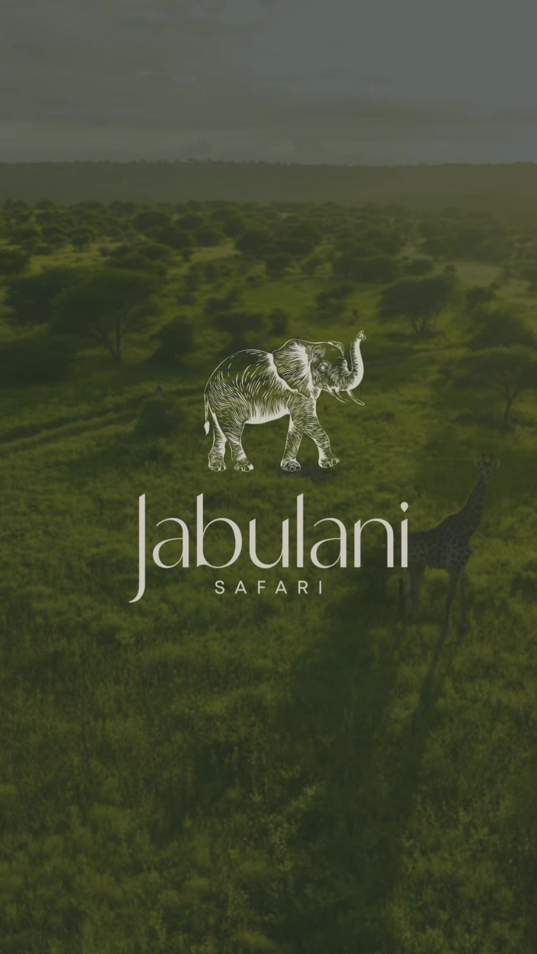 @Jabulani Safari