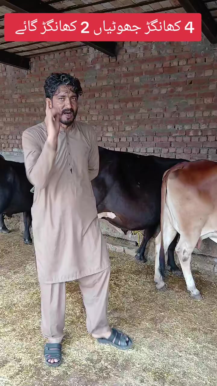 @Farming and Business Ideas