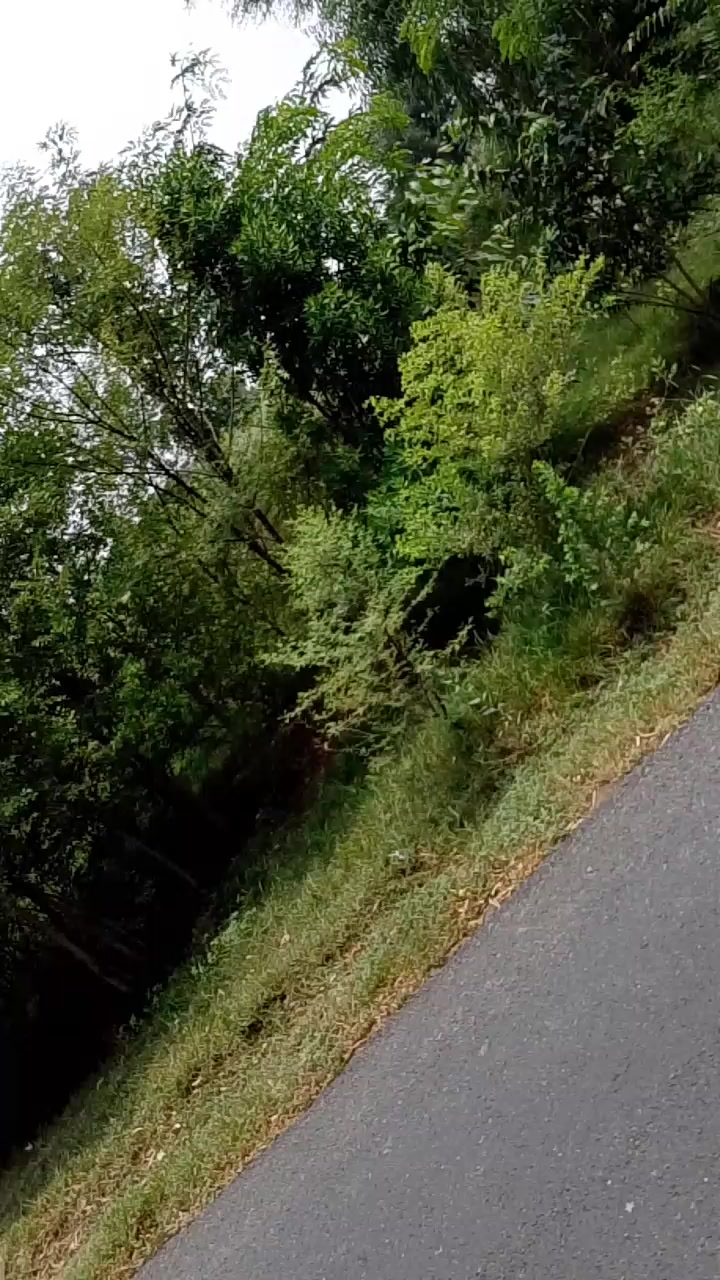 @Rani hon raja ke🤗💞