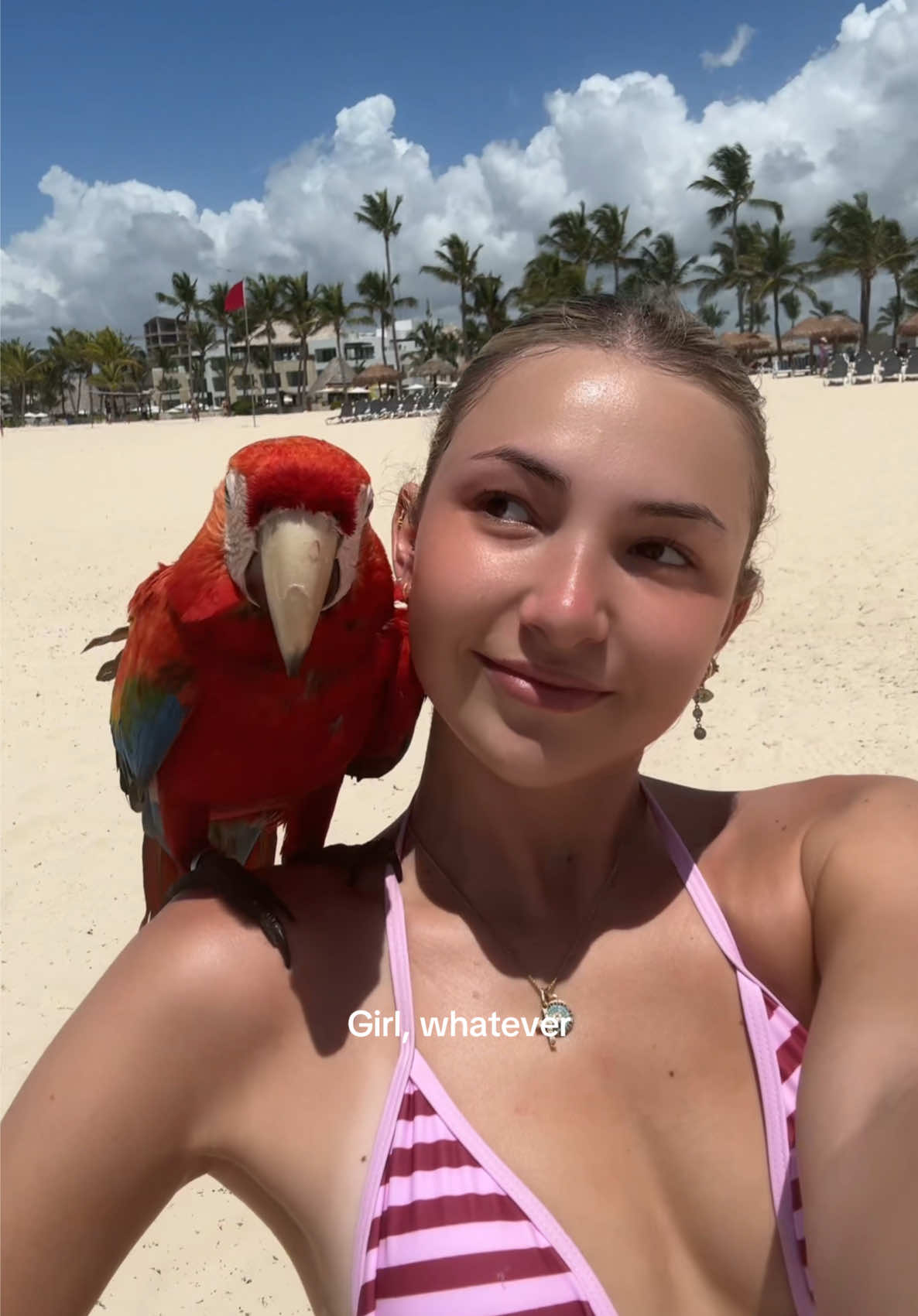 @ALANA ACESKI