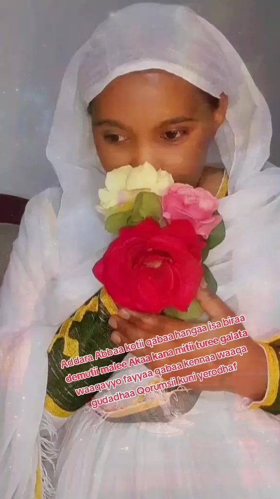 @masi hadhaa Tsiyoon