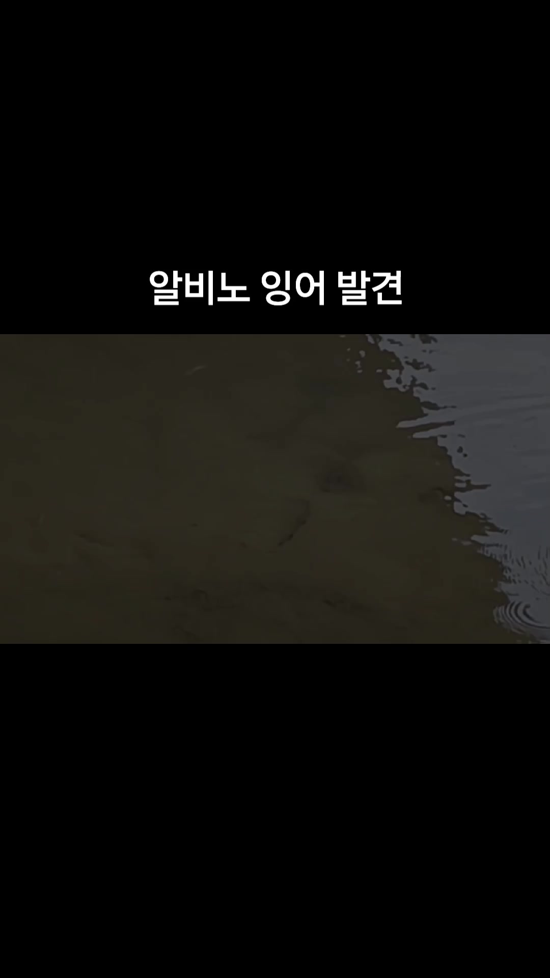 @댕청미