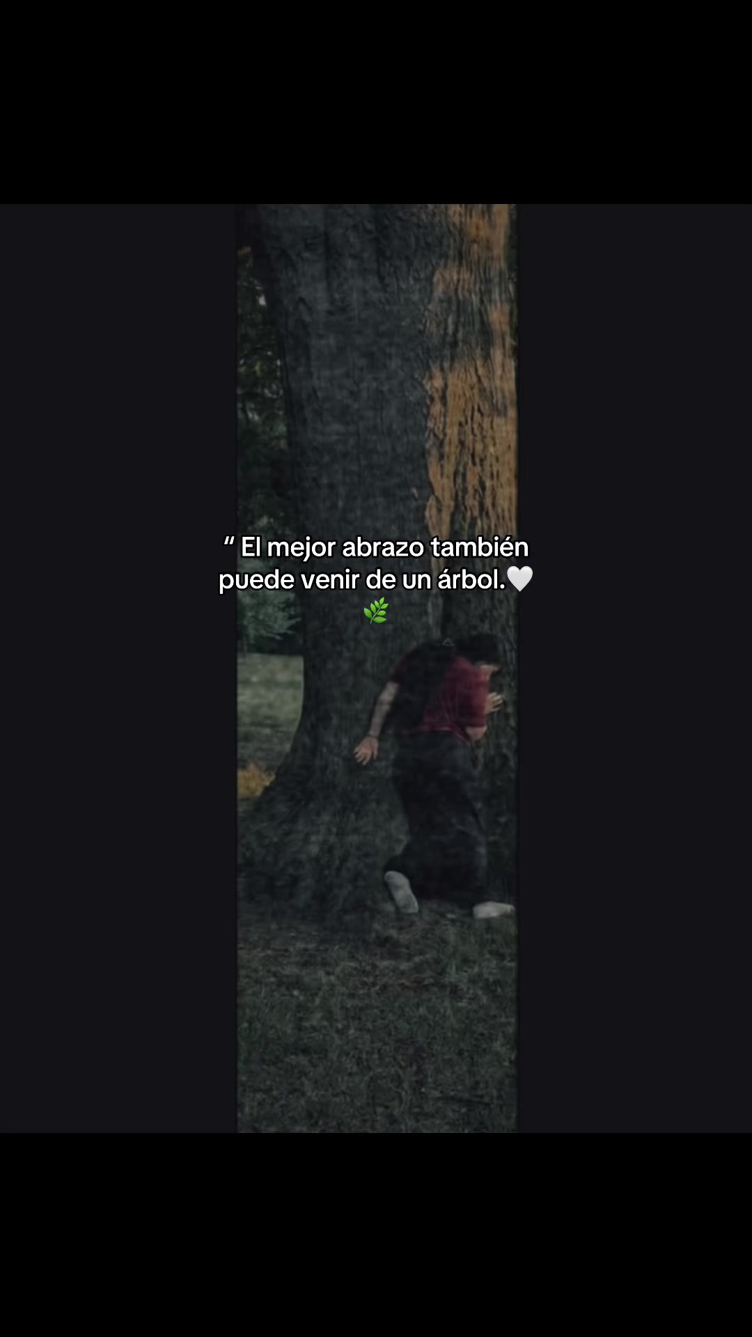 @tufavorita183