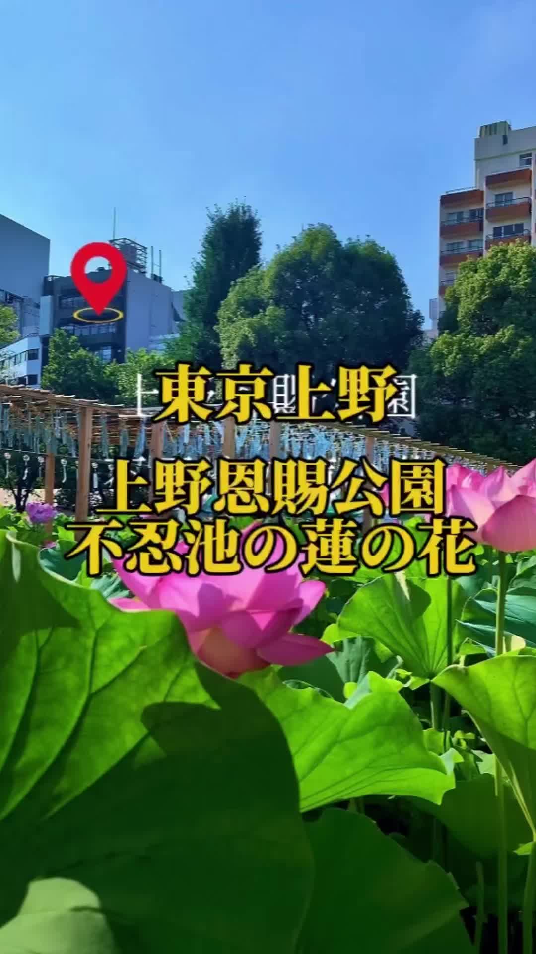 @🌸Shinomin🌸関東映えスポット巡り