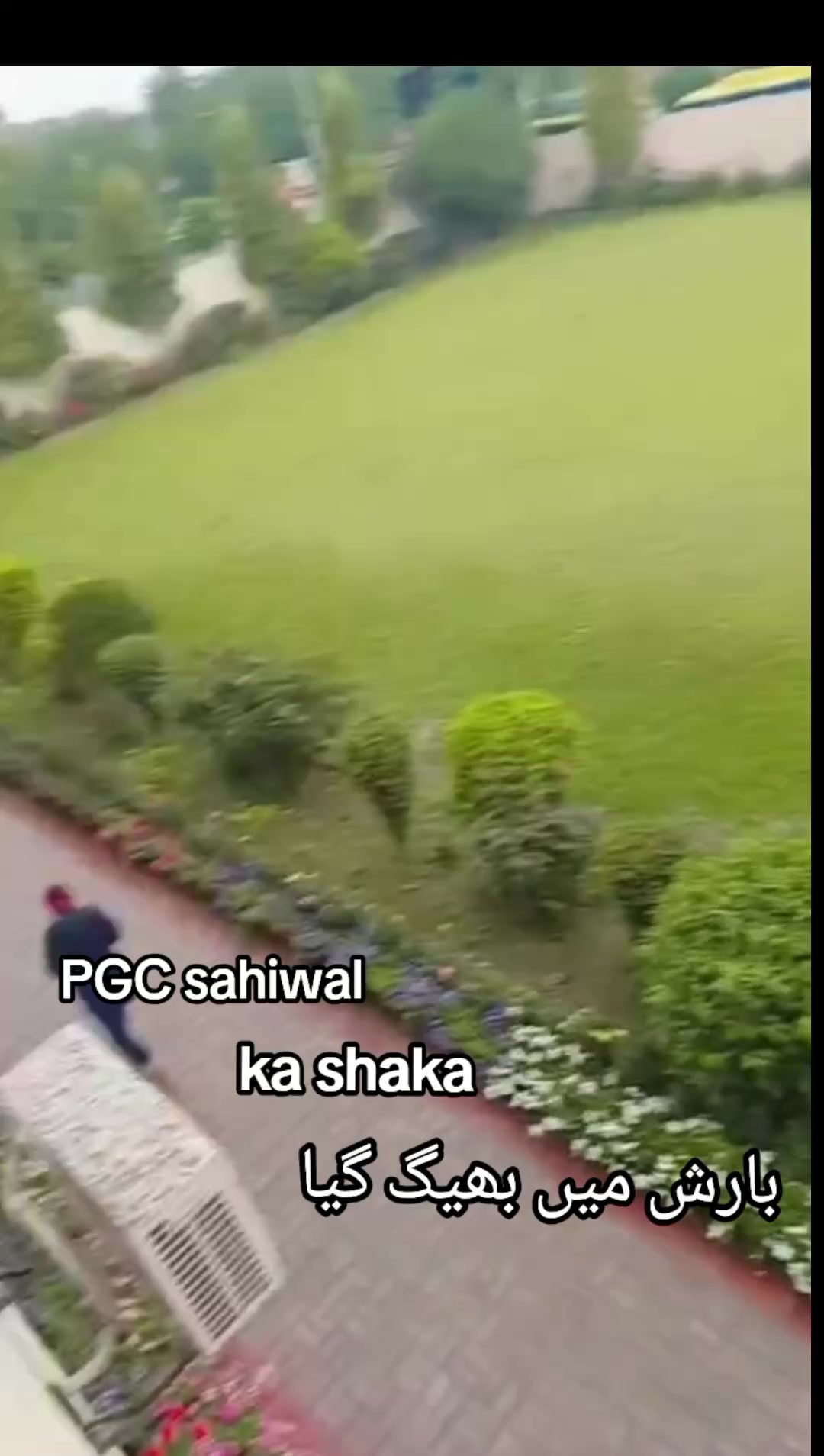 @Punjab collage sahiwal