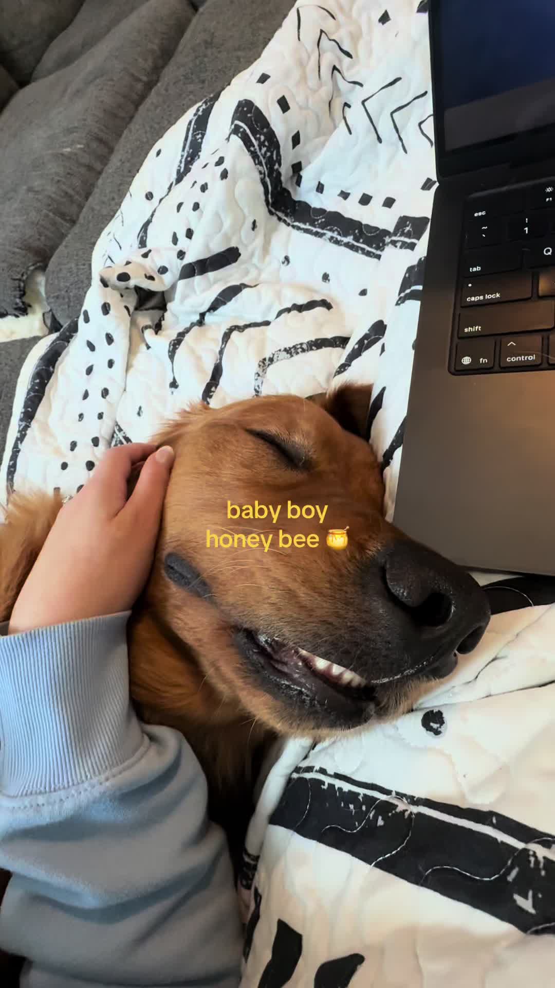 @Mariah | golden fur mom +wifey
