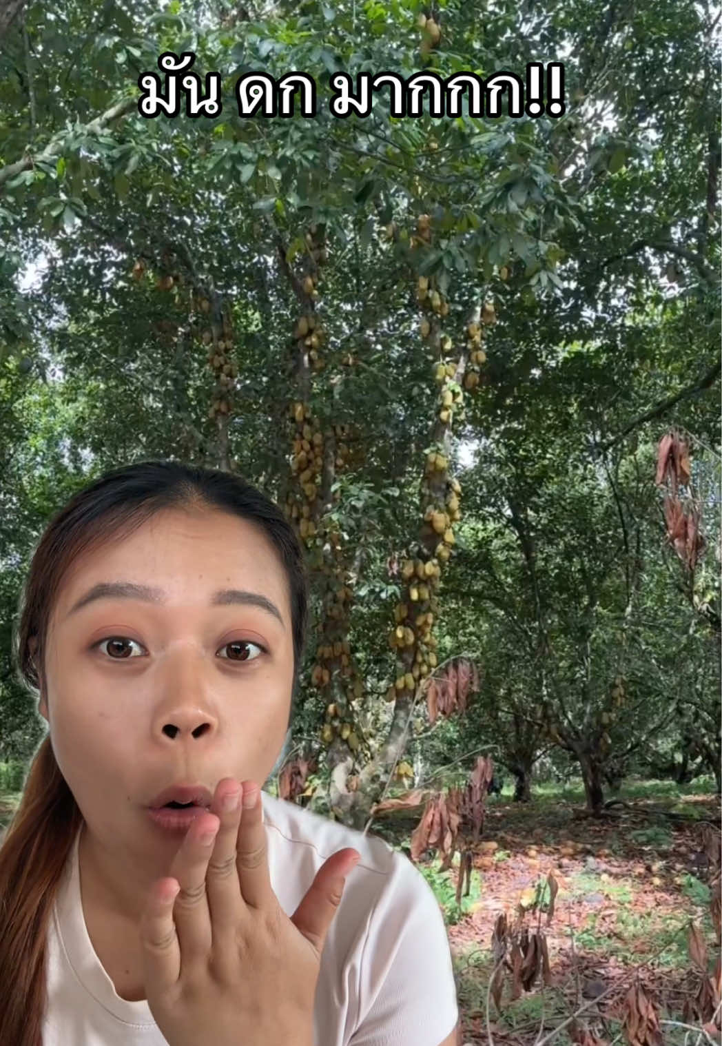 @หมูหมีจัดให้