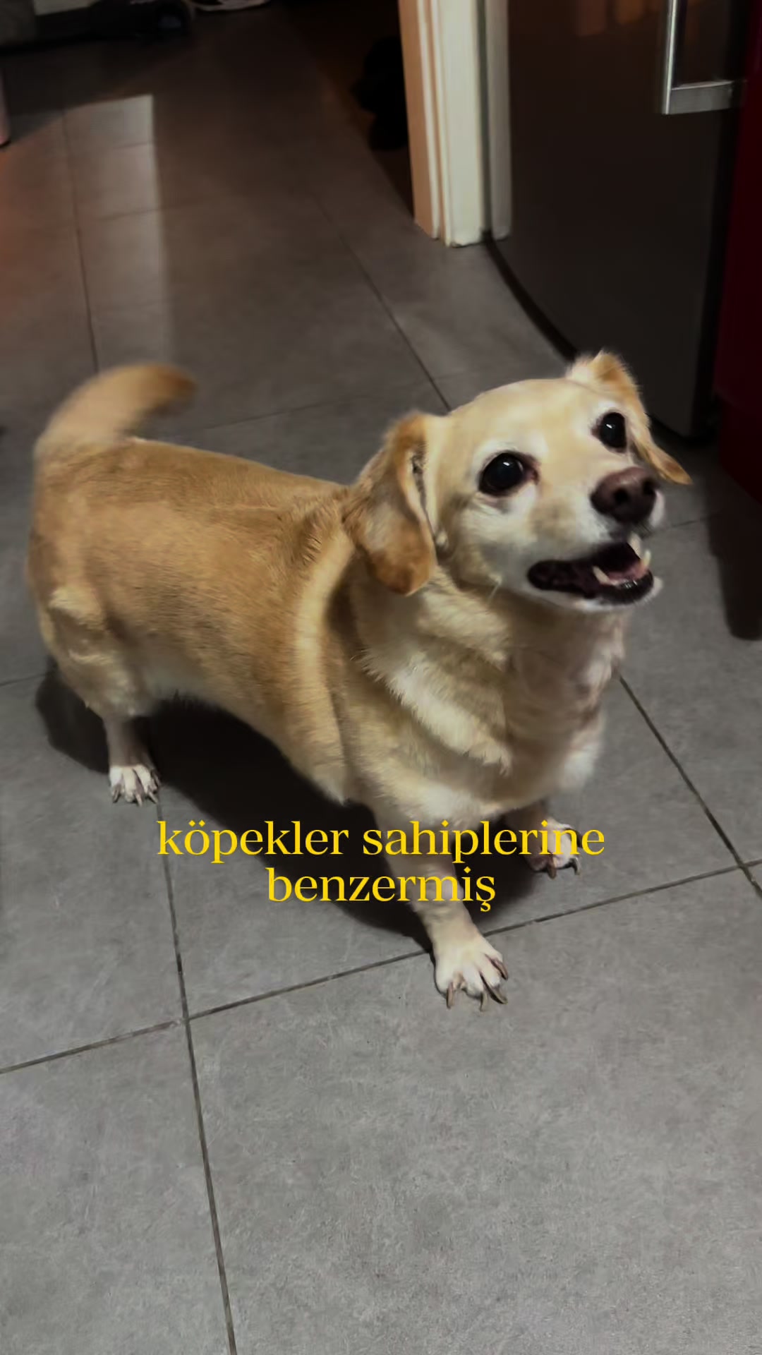 @Serra Kopuz