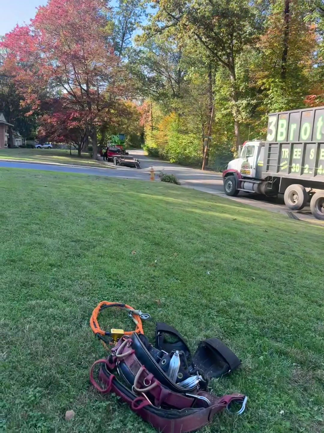 @Teto tree service