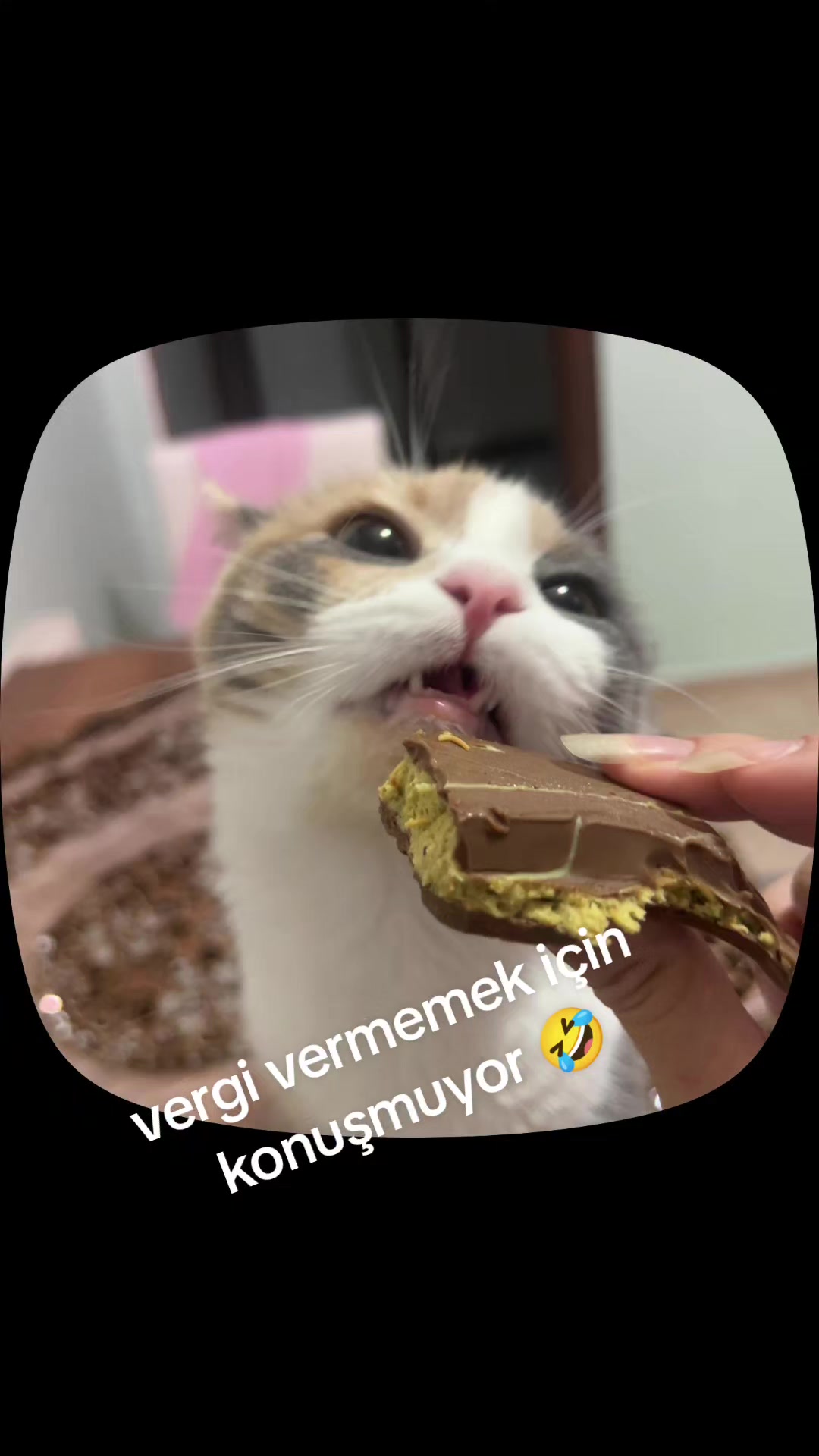 @TUĞBA SAYIN