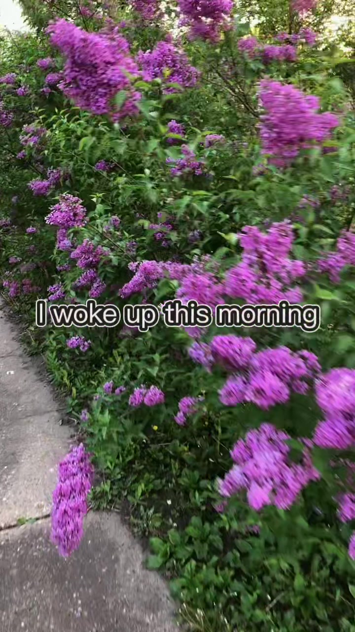 @DanielleSedinš©µ