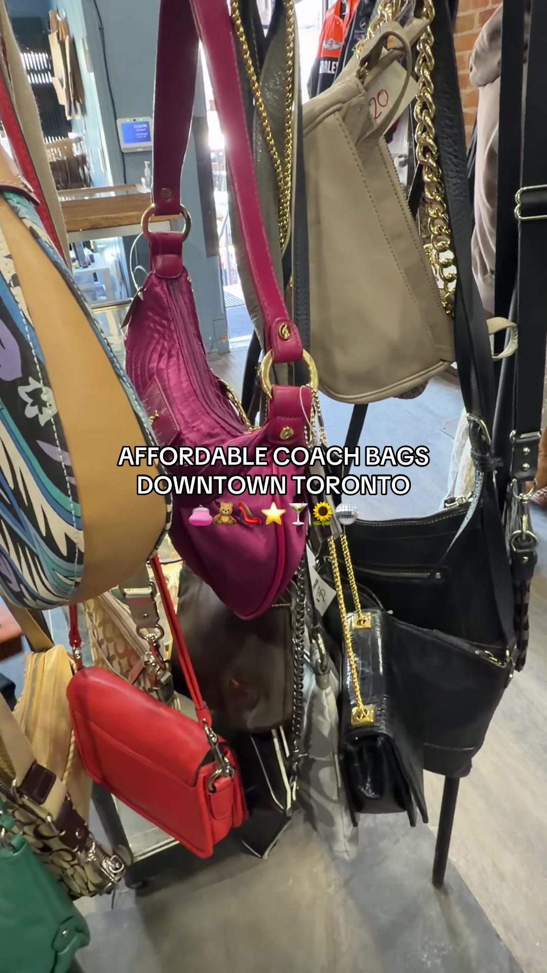 @Bray 🧸 Money & Toronto