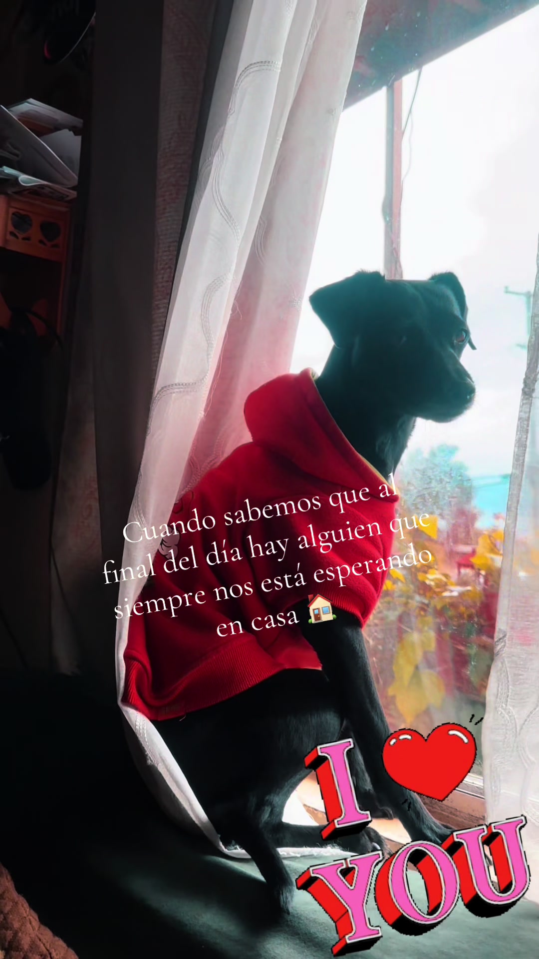 @Dulce Rivera Vazquez