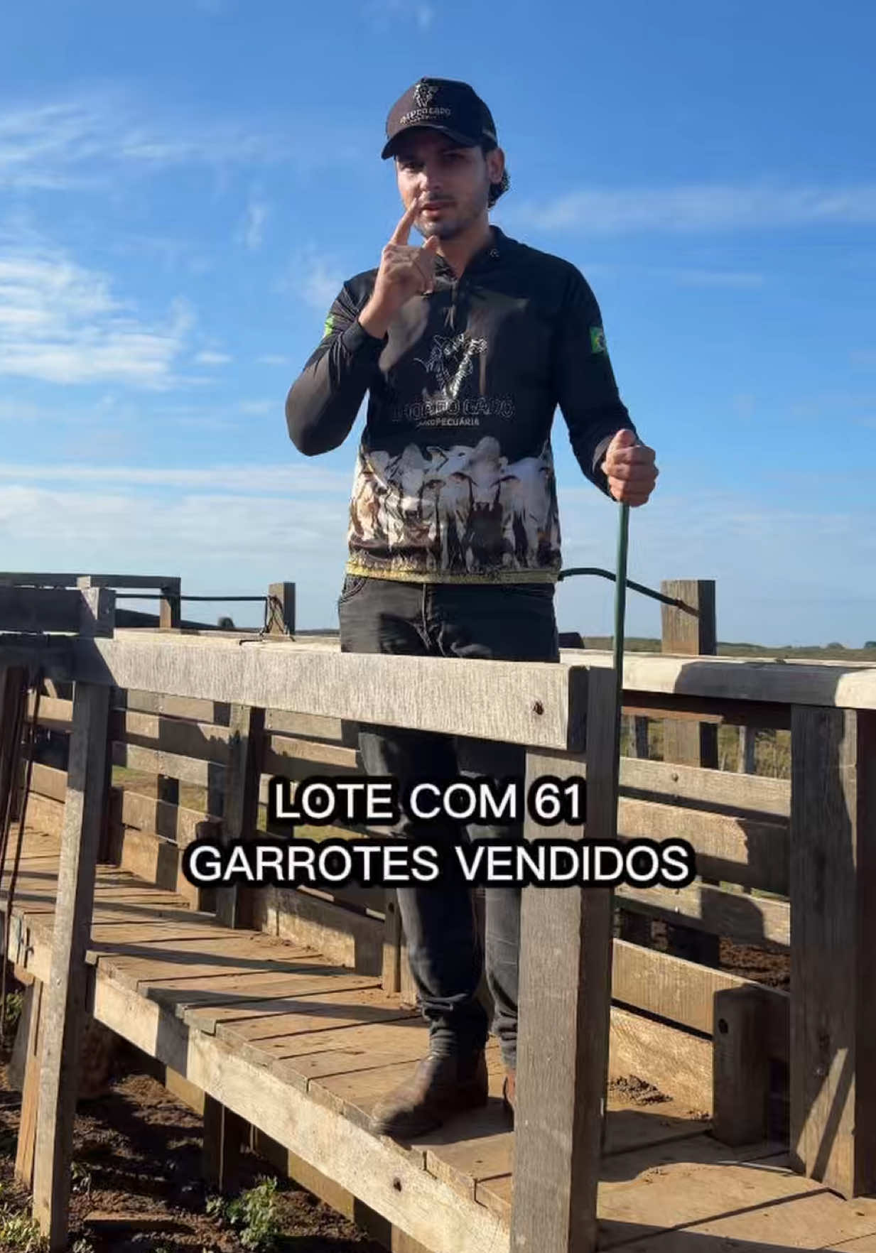 @Shop do Gado
