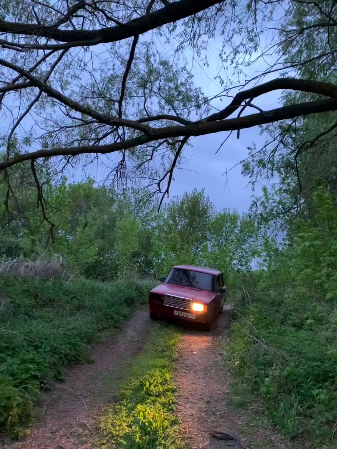 @scdbenz