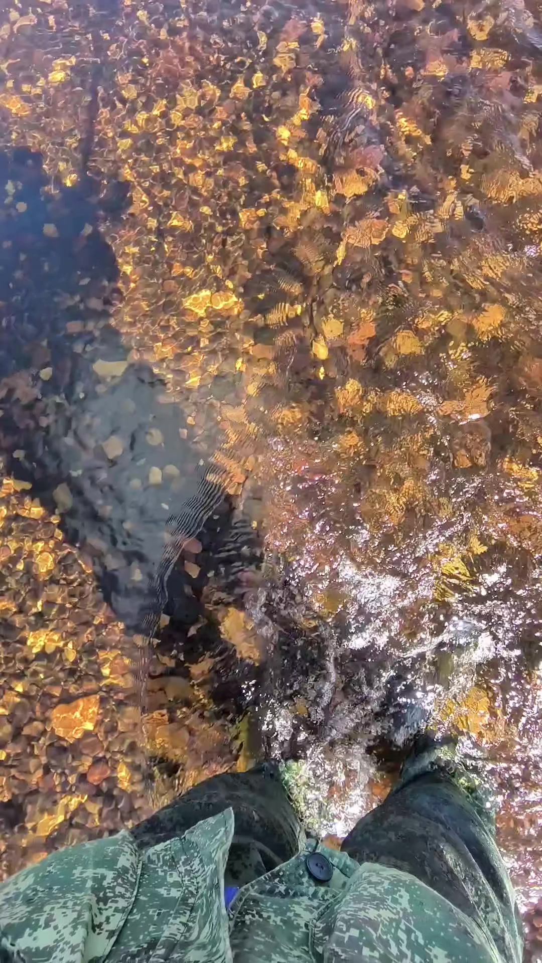 @Харли Квинн
