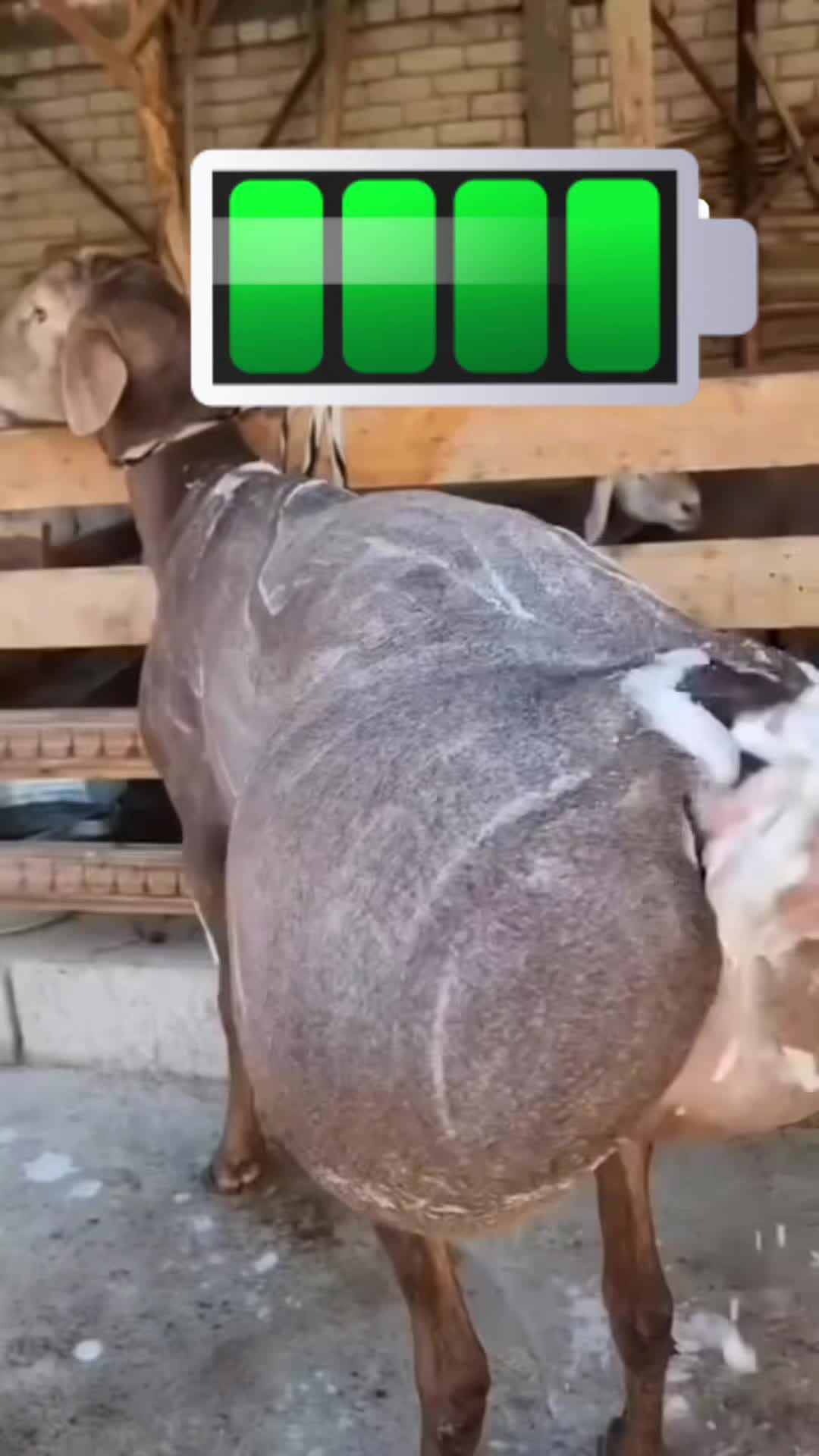 @Ahperzhan
