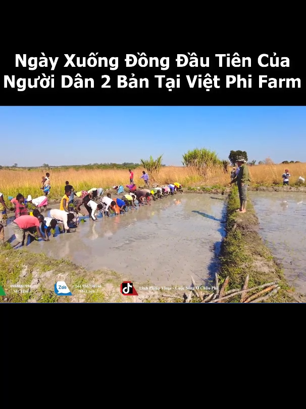 @Tin Tức Angola