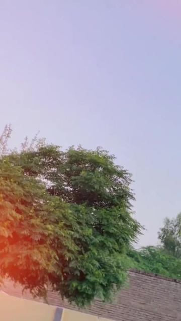 @سید کامران مرتضٰی شاہ ہاشمی👑