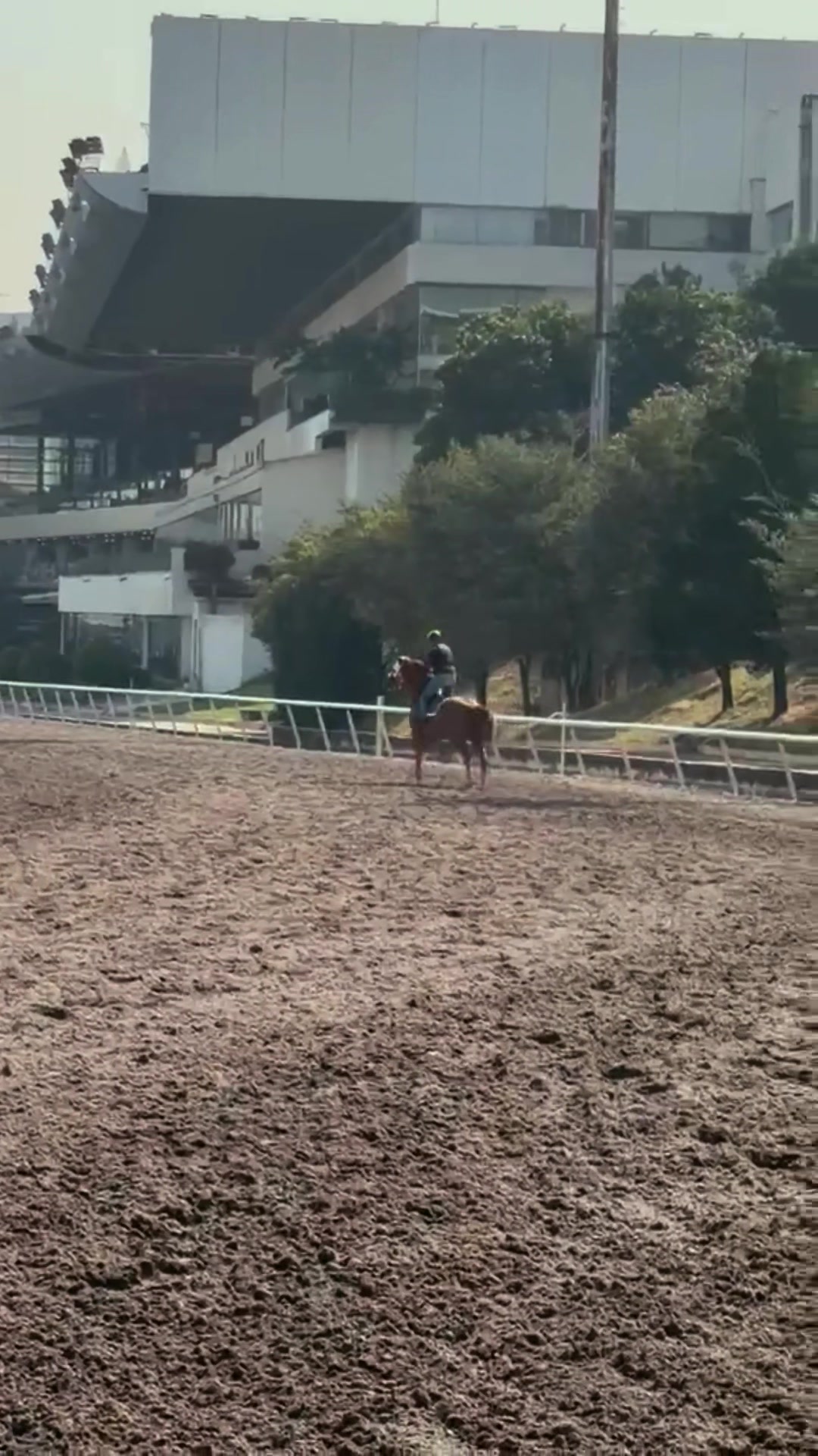 @Cuadra el Tigre