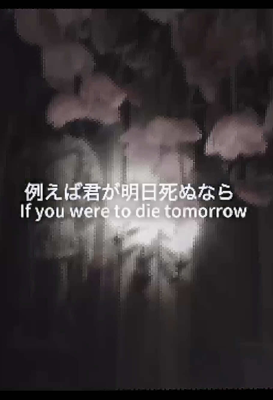 @ʕ &bull;ᴥ&bull;ʔ