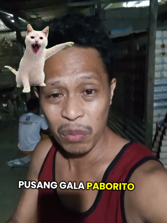 @Krazy Dong 2.0
