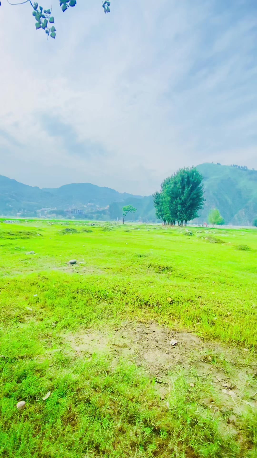 @غنی 🍁