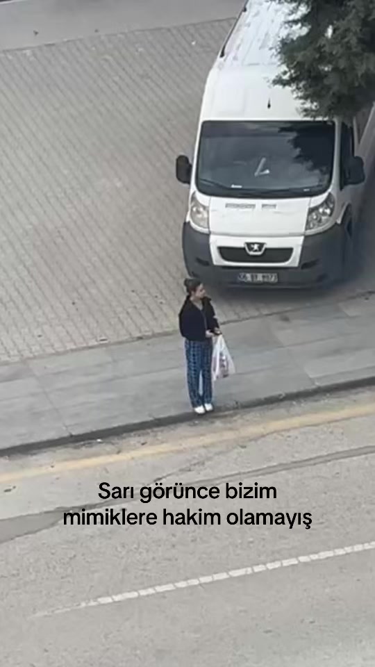@𝐀𝐥𝐞𝐲𝐲😜