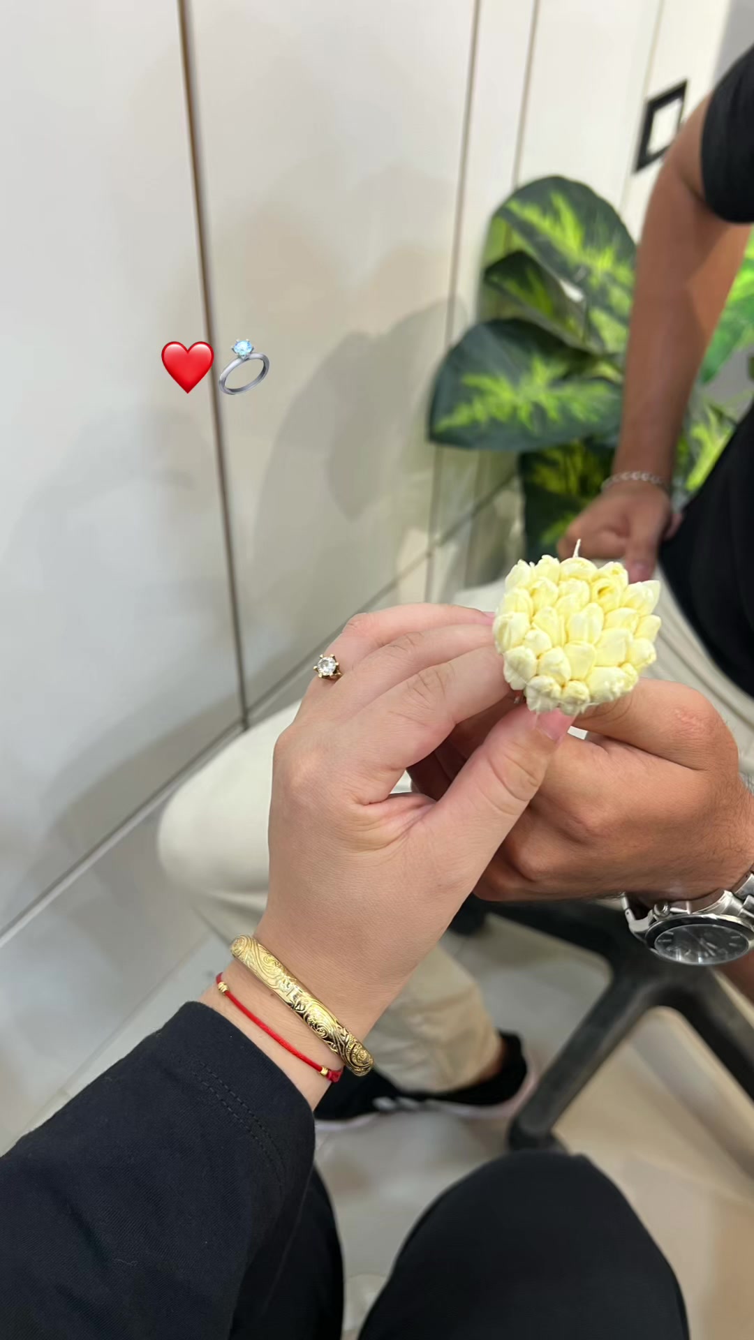 @𝐀𝐛𝐞𝐞𝐫 🕊️