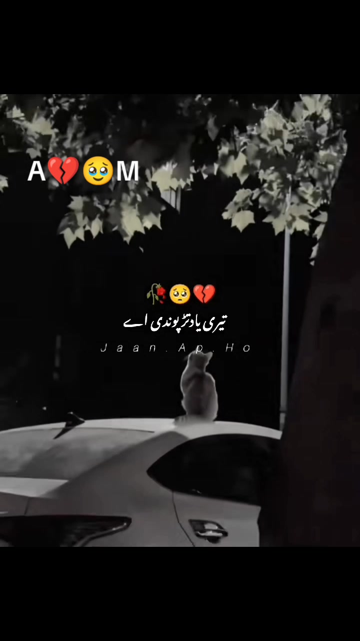 @mahroom ladki ❤️&zwj;🩹