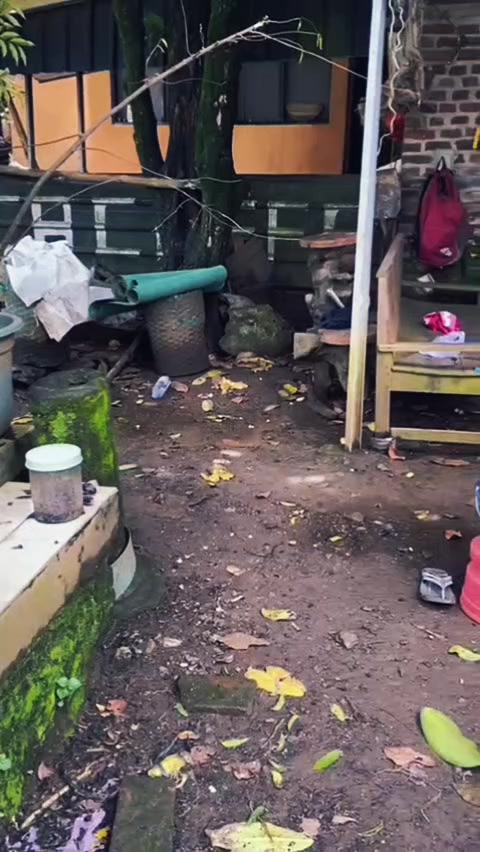 @KOMANDAN UK