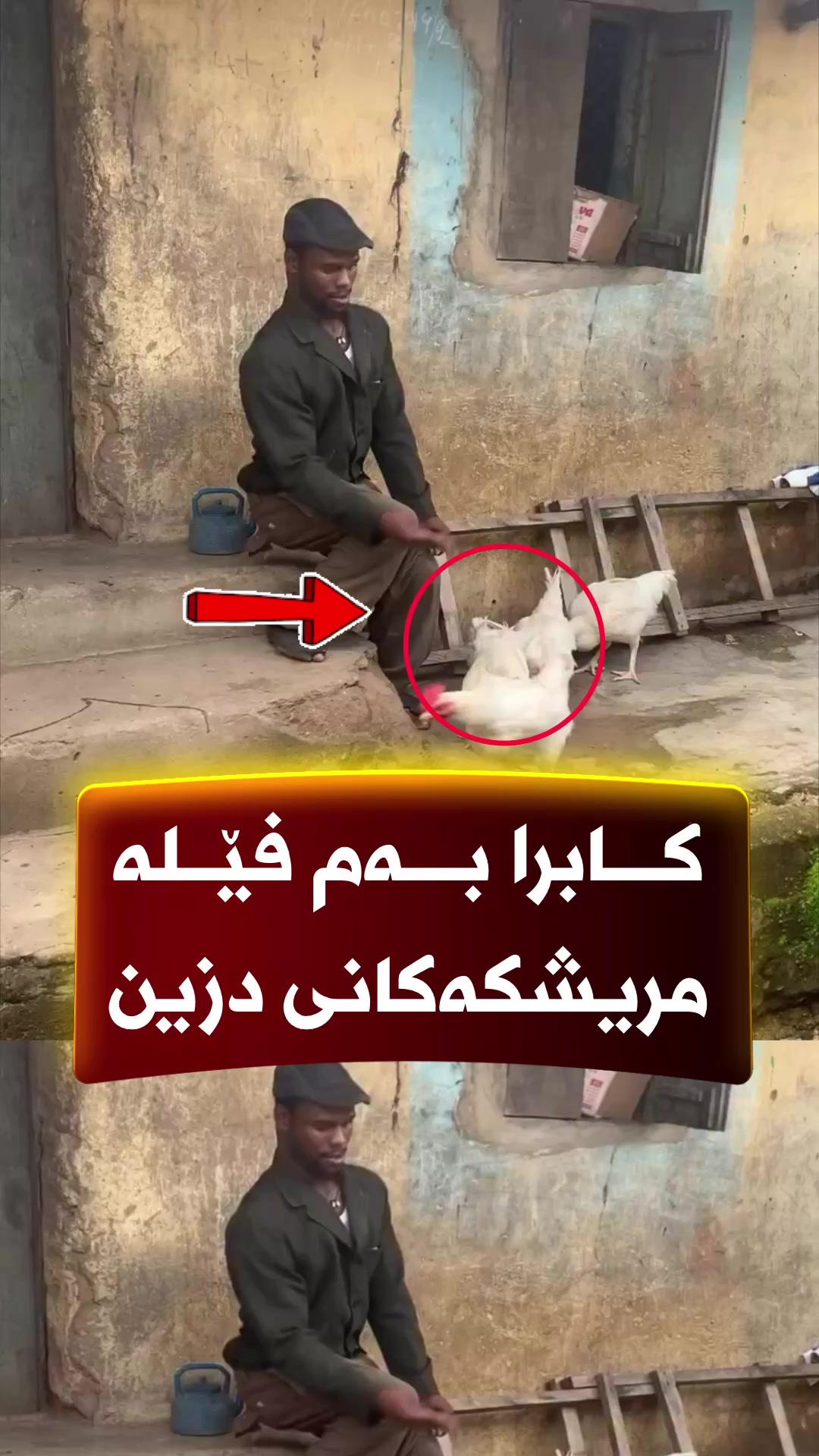 @🎤📺 𓆩جیگر هەركی𓆪 Journalist