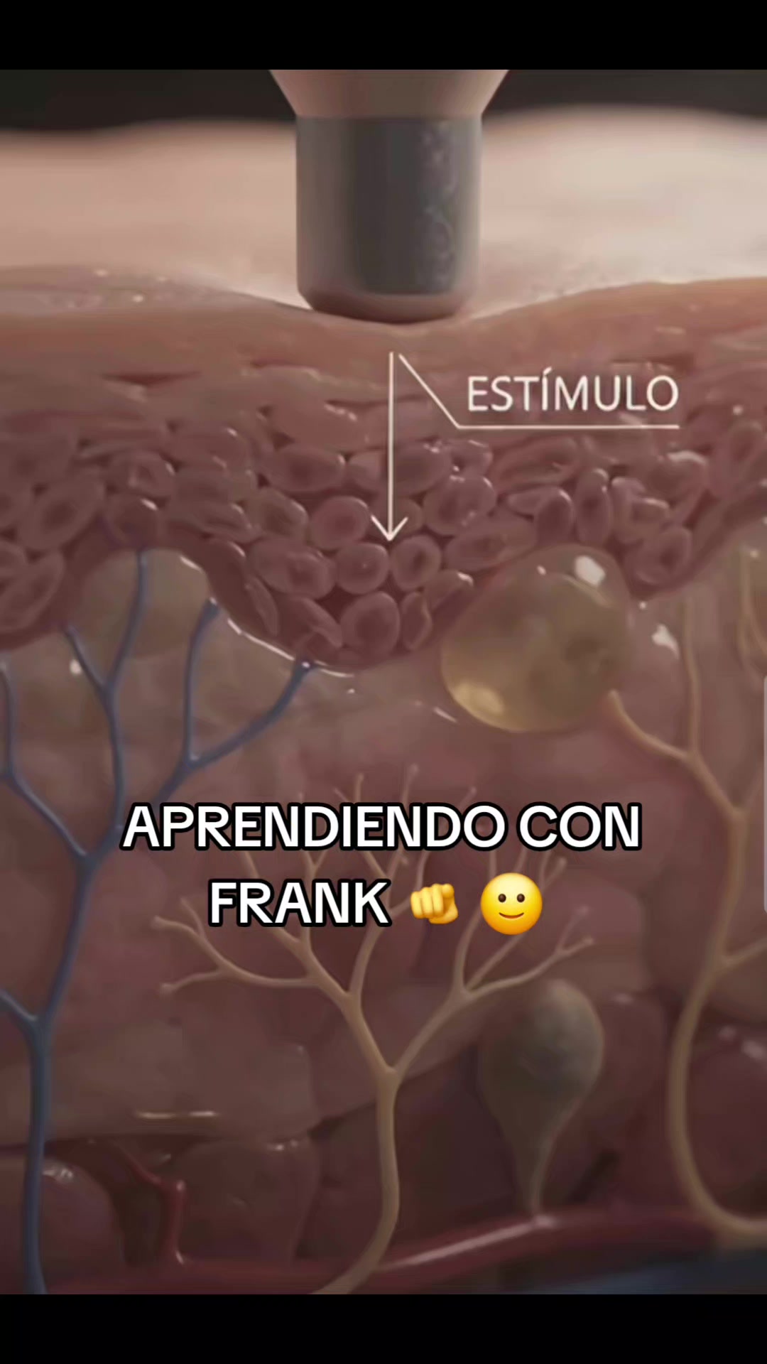 @🇸🇱✨️Frank Naturista🫵😎Oxa