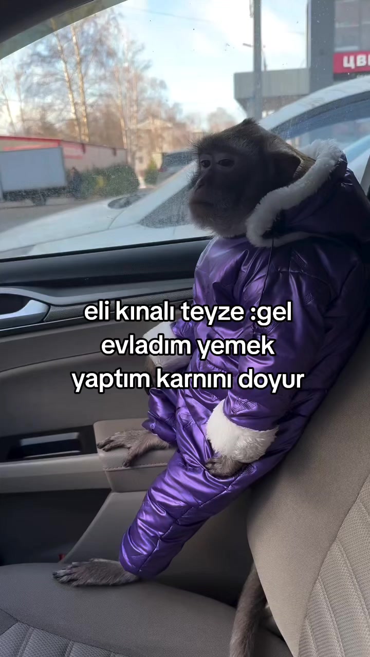 @rolland