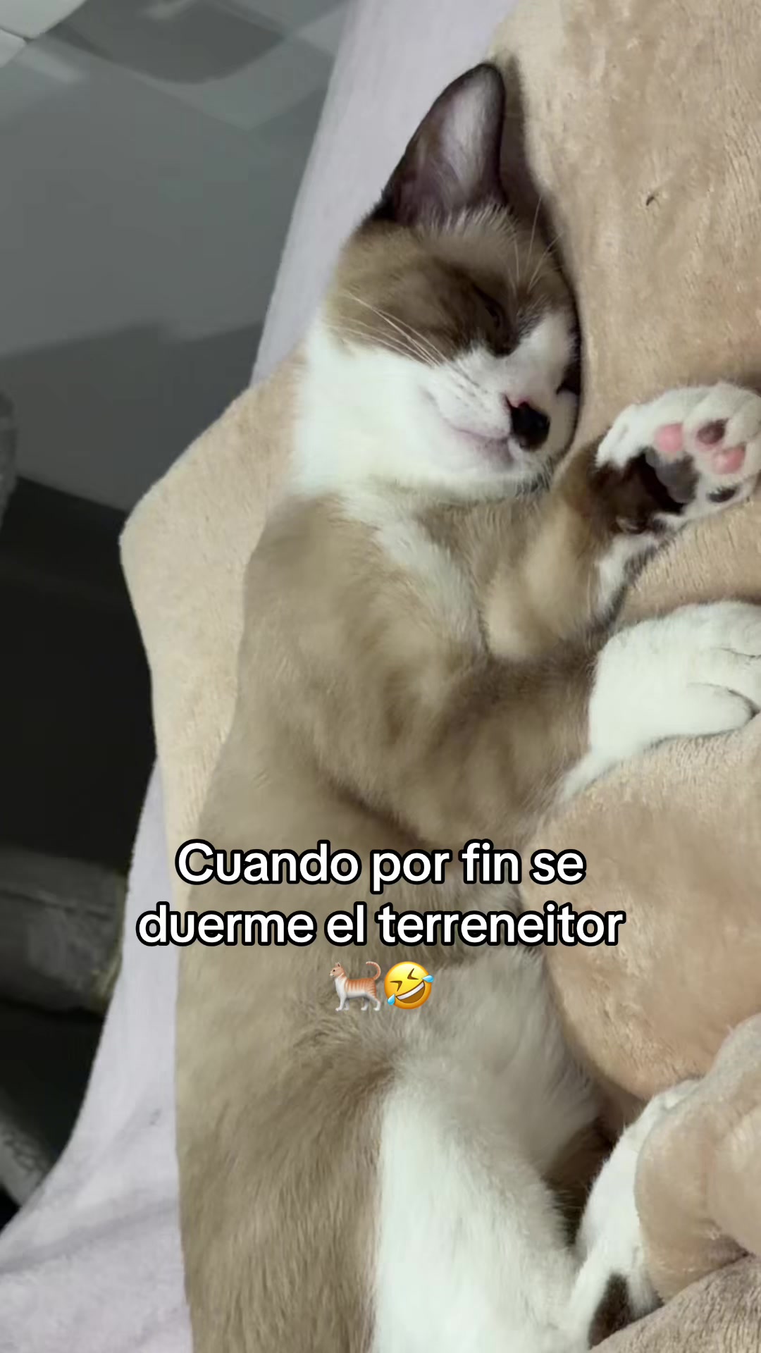 @Kate🧚🏻